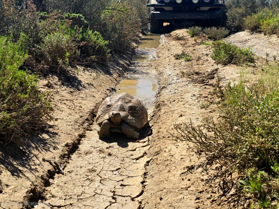 Commercial Property for Sale in Upington Rural Northern Cape